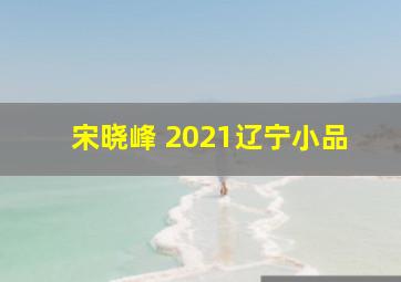 宋晓峰 2021辽宁小品